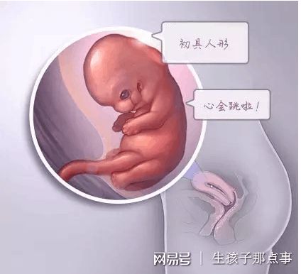 关于包生男孩助孕机构代生供卵医院